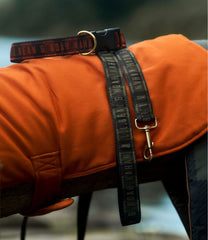 L.L.Bean & Noah Kahan Novelty Dog Leash NEW|OUTDOOR EQUIPMENT|HOME GOODS|SALE