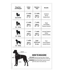 L.L.Bean Personalized Pet Collar OUTDOOR EQUIPMENT|HOME GOODS