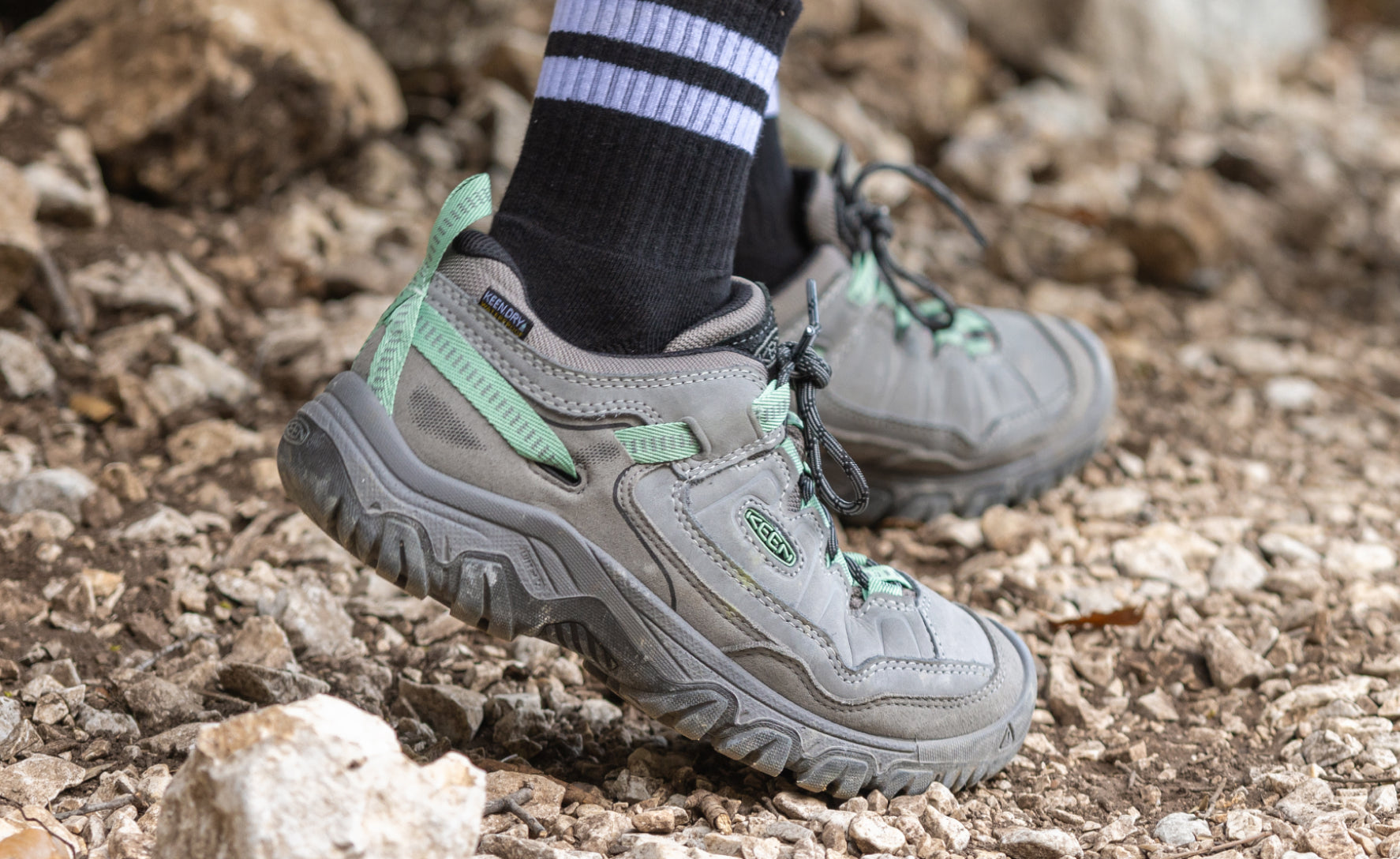 Women's Targhee IV Waterproof Hiking Shoe Abbey Stone/Lily Pad / Keen / Abbey Stone/Lily Pad