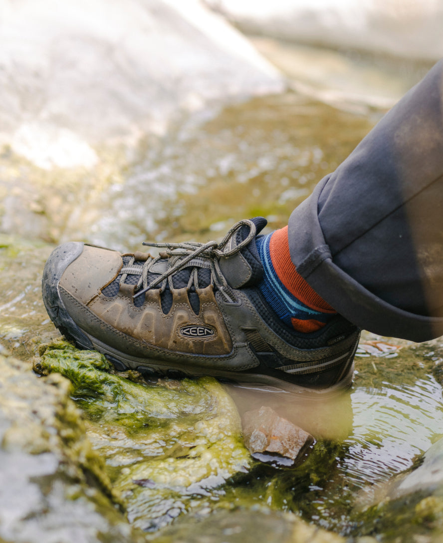 Men's Targhee III Waterproof Black Olive/Golden Brown / Keen / Black Olive/Golden Brown