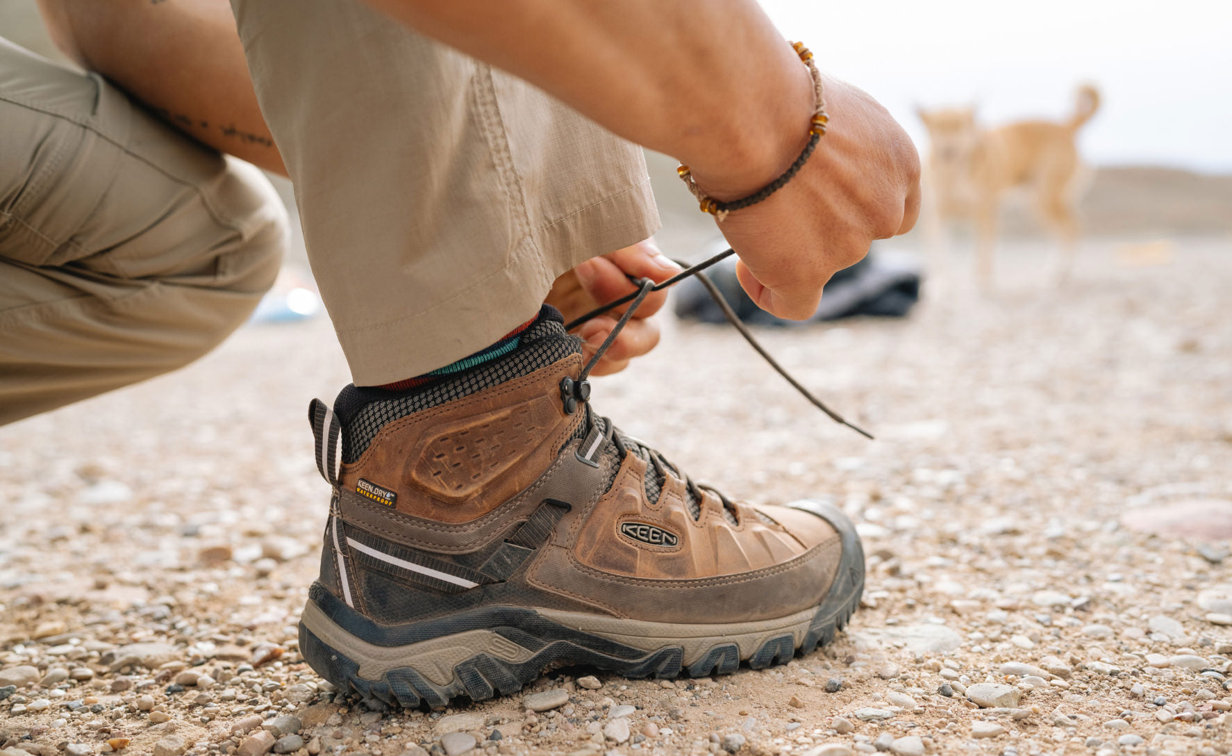 Men's Targhee III Waterproof Mid Bungee Cord/Black / Keen / Bungee Cord/Black