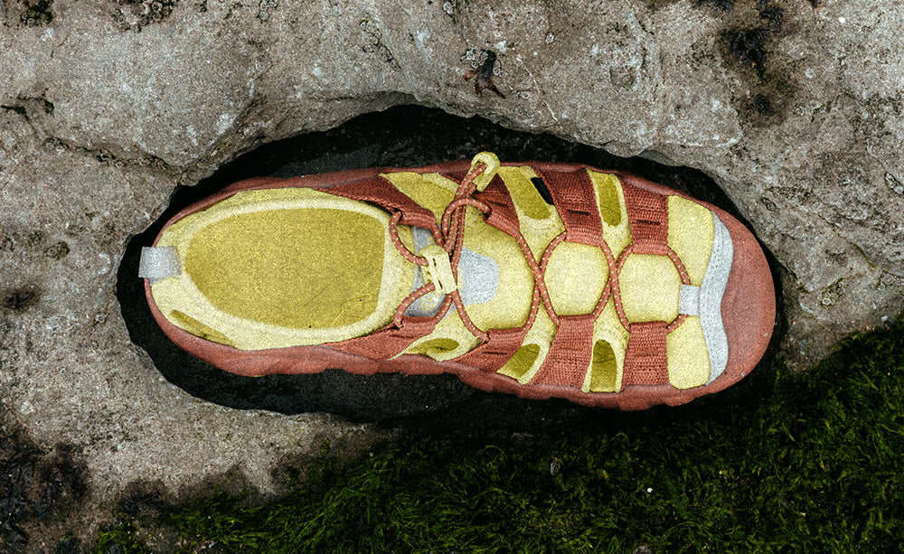 Men's Hyperport H2 Sandal x Hiking Patrol Algae Green / Keen / Algae Green