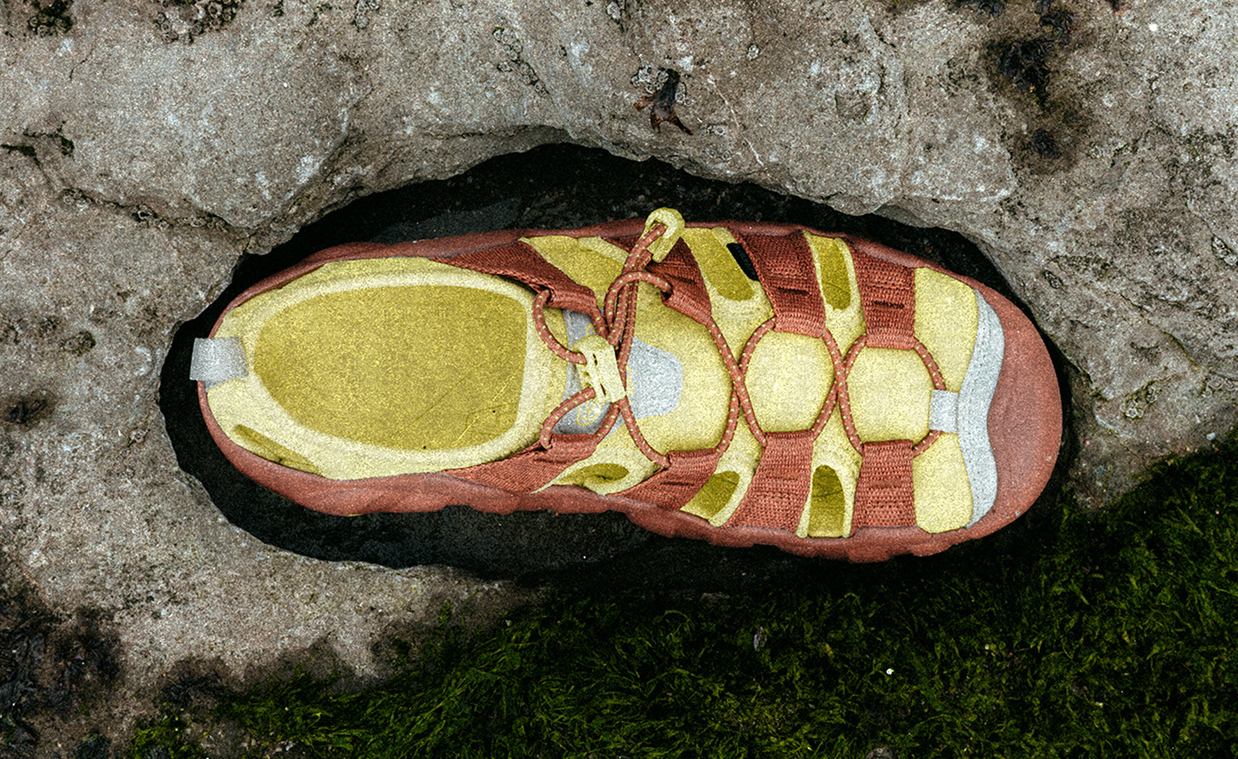 Women's Hyperport H2 Sandal x Hiking Patrol Algae Green / Keen / Algae Green