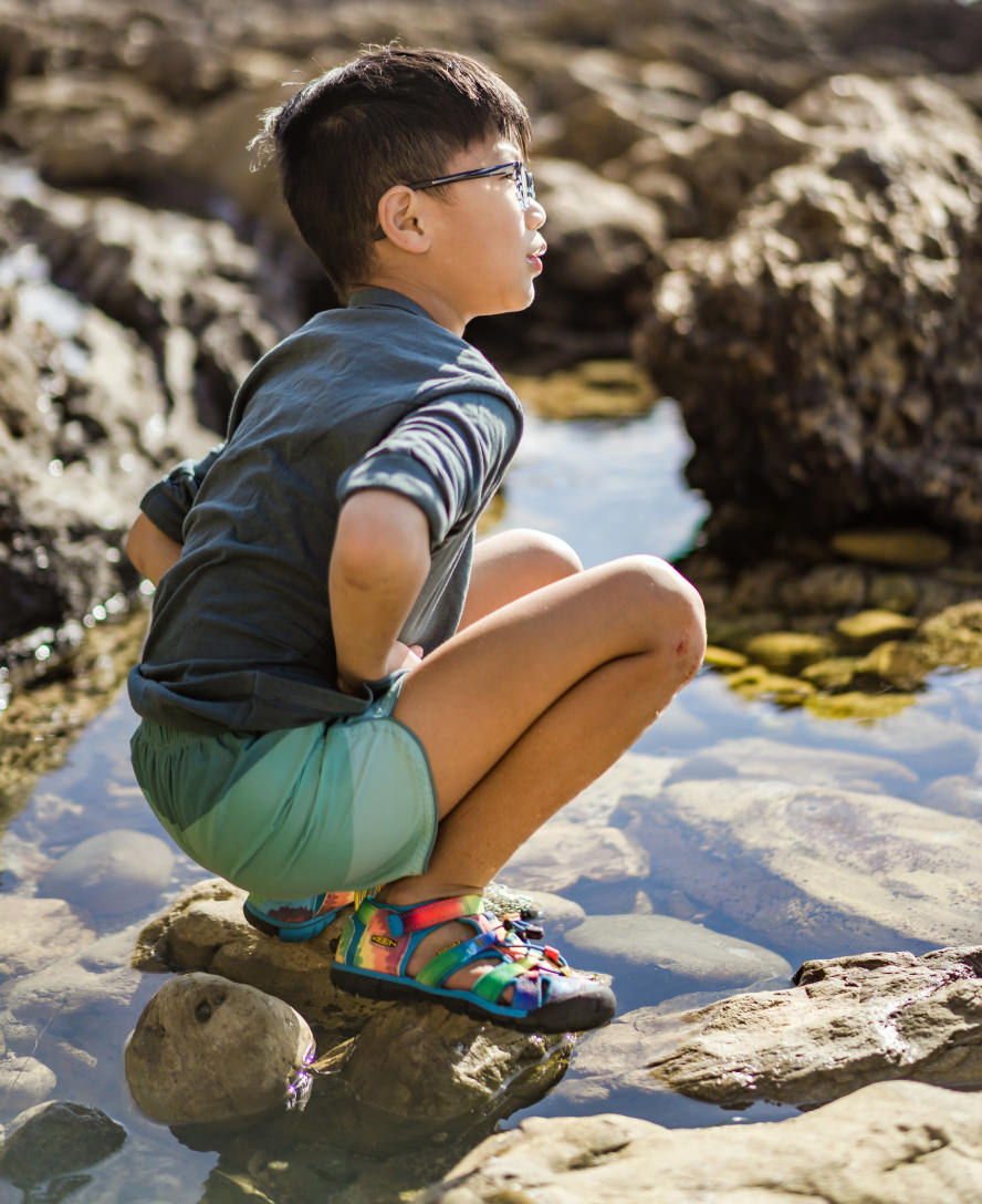 Little Kids' Seacamp II CNX Daisies/Marina / Keen / Daisies/Marina